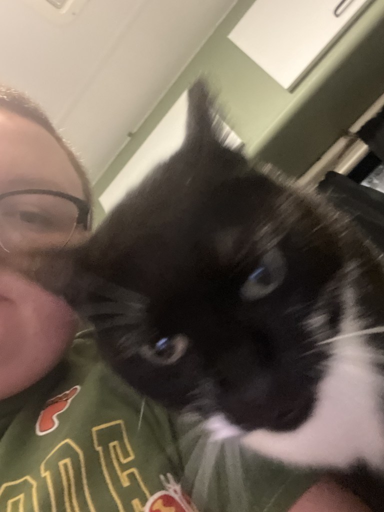 A photo of a black and white patterned tuxedo cat with green eyes looking at the camera. The photo is blurred and the cat has a slightly confused and concerned expression. 